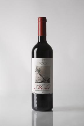 Kokas-hegyi Merlot